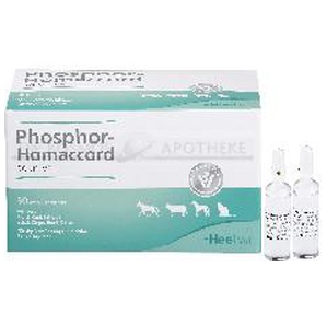 PHOSPHOR HOMACCORD ad us.vet.Ampullen Produktbild