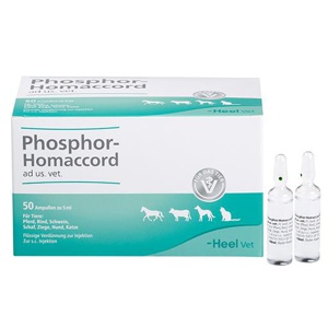PHOSPHOR HOMACCORD ad us.vet.Ampullen Produktbild