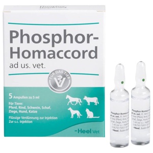 PHOSPHOR HOMACCORD ad us.vet.Ampullen Produktbild