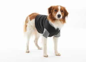 Body Suit EasyGo till hund Svart/Grå S produkt bild