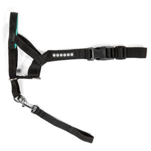 Pro Dog Nosgrimma Svart (2) produkt bild