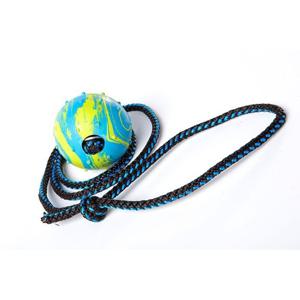 Pro Dog Repboll Gummi 60 cm (S) produkt bild