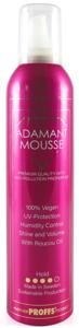 PROFFS STYLING Adamant Roucou Mousse 300ml produkt bild