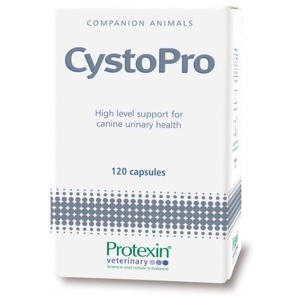 Protexin CystoPro Urinary 120 kapslar produkt bild