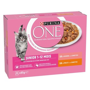 Purina One Junior Huhn & Lachs Produktbild