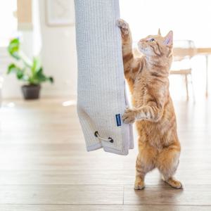 Quapas! Klättersäck till Katt Väggmonterad Beige 150 cm produkt bild
