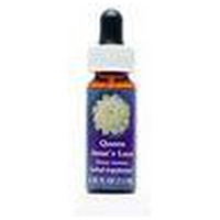 QUEEN Anne's Lace FES kaliforn.Blütenessenz Tropf. Produktbild