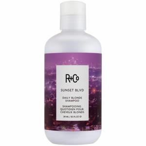 R+Co SUNSET BLVD Daily Blonde Shampoo (251ml) produkt bild