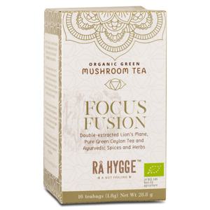 Rå Hygge Green Tea Focus Fusion Lions Mane 16 påsar produkt bild