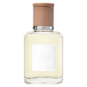 Ralph Lauren Polo Earth Antilles Vetiver edt 40ml produkt bild