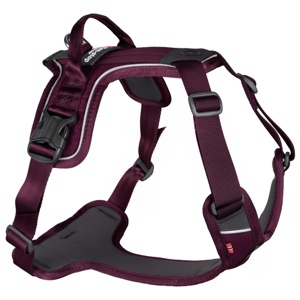 Ramble Harness - Lila / XS produkt bild