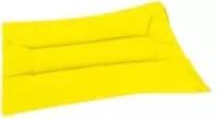 RAPSSAMEN-Kissen-22x22-cm-gelb Produktbild