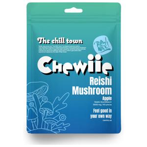 Rawnice Mushroom Reishi 60 stycken produkt bild