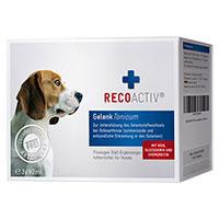RECOACTIV Gelenk Tonicum Kurpackung f.Hunde Produktbild