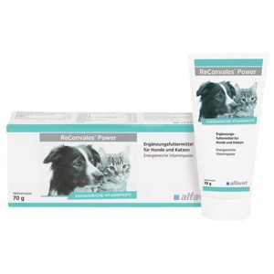 RECONVALES Power Vitaminpaste f.Hunde/Katzen Produktbild