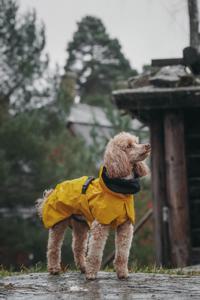 Reflekterande Regnjacka Hund Gul - 35 produkt bild