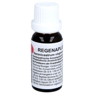 REGENAPLEX Nr.62 b Tropfen zum Einnehmen Produktbild