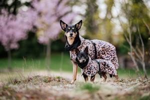 Regnjacka Paikka Visibility Raincoat Lite Leo 20 cm produkt bild