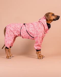 Regnoverall Hund Röd - 40 produkt bild