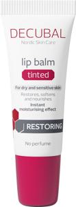 Restoring Lip Balm Tinted 10 ml produkt bild
