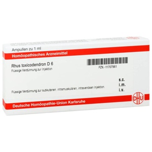 RHUS TOXICODENDRON D 6 Ampullen Produktbild