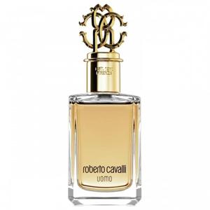 Roberto Cavalli Uomo edt 100ml produkt bild