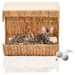 Rohrschneider ® Katzen Liegemulde Cäsar für Wandmontage, Kletterwand-Element mit Gratis-Spielballset Produktbild