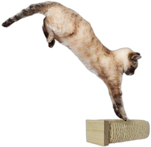 Rohrschneider ® Katzentreppe, Wandelement für Katzen mit starkem Sisalseil natur / beige Produktbild