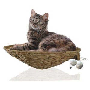 Rohrschneider ® runde Katzenmulde für Wandmontage, Kletterwand-Element mit Gratis-Spielballset Produktbild