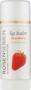 Rosenserien Lip Balm Strawberry produkt bild