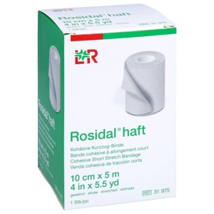 ROSIDAL haft Kompressionsbinde 10 cmx5 m Produktbild