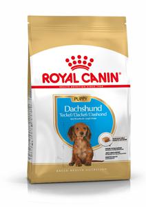 Royal Canin Breed Dachshund Junior 15 kg produkt bild