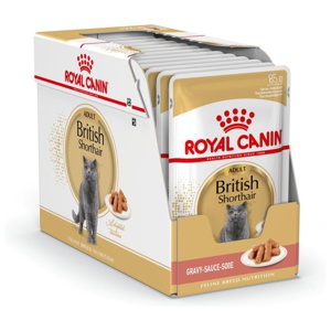 Royal Canin British Shorthair Adult i sås - 24 x 85 g produkt bild