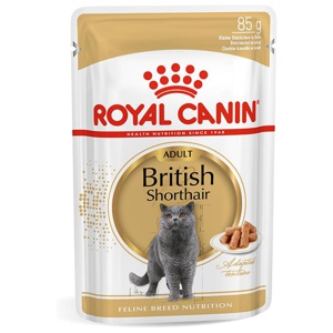 Royal Canin British Shorthair Adult in Gravy product image