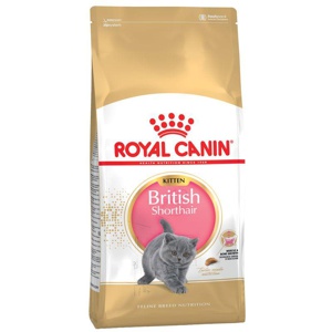Royal Canin British Shorthair Cat Kitten produktbilde
