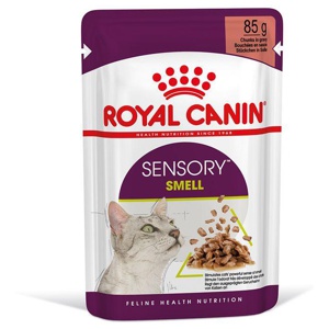 Royal Canin Cat Adult Sensory Smell Chunks in Gravy 12x85g produktbilde