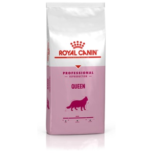 Royal Canin Cat Queen 10 kg produkt bild