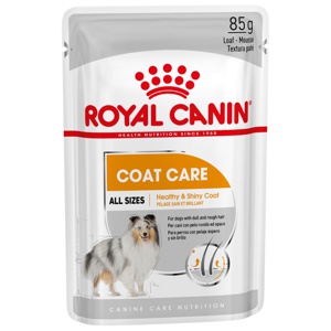 Royal Canin Coat Care Adult 12x85 g produkt bild