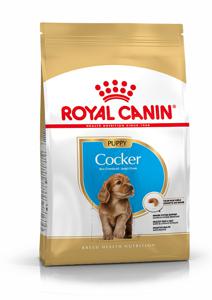 Royal Canin Cocker Spaniel Puppy (3 kg) produkt bild