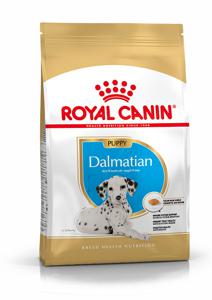 Royal Canin Dalmatian Puppy 12 kg produkt bild