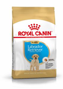 Royal Canin Labrador Retriever Puppy (12 kg) produkt bild