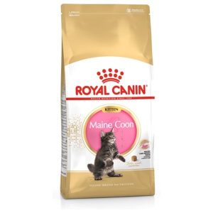 Royal Canin Maine Coon Kitten - 10 kg produkt bild