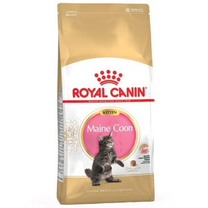 Royal Canin Maine Coon Kitten Produktbild