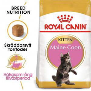Royal Canin Maine Coon Kitten produkt bild
