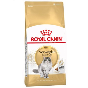Royal Canin Norwegische Waldkatze Adult Produktbild