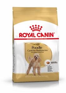 Royal Canin Poodle Adult - 1,5 kg produkt bild