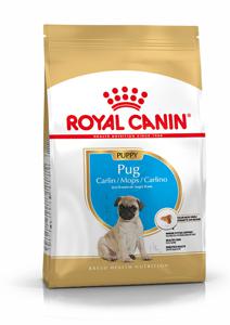 Royal Canin Pug Puppy 1,5 kg produkt bild