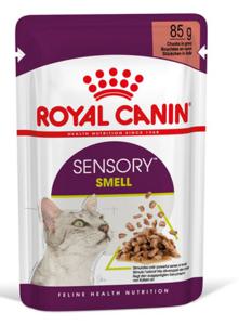 Royal Canin Sensory Smell i sås - 96 x 85 g produkt bild