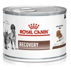 Royal Canin Veterinary Canine Recovery mousse - 24 x 195 g produkt bild