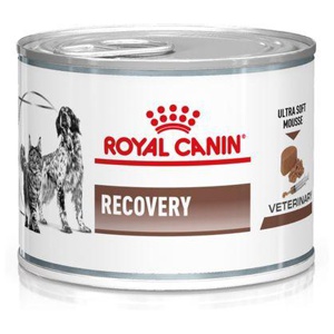 Royal Canin Veterinary Diets Dog/Cat Recovery Wet 12 x 195g produktbilde